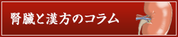 腎臓と漢方のコラム